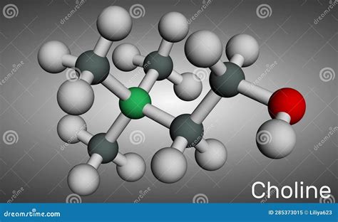 Choline Molecular Structure 3d Flat Model Vitamin B4 Structural