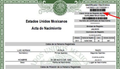 De Esta Manera Podrás Obtener El Acta De Nacimiento Por Internet Sociedad W Radio Mexico