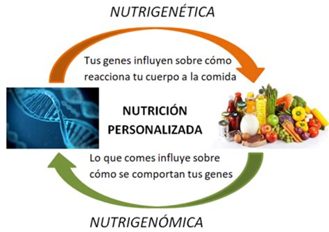 PUEDEN TUS GENES DICTAR TU DIETA LA NUTRIGENÉTICA DE LA VITAMINA D