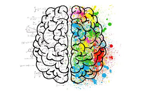 Why both sides of the brain are needed for math operations.