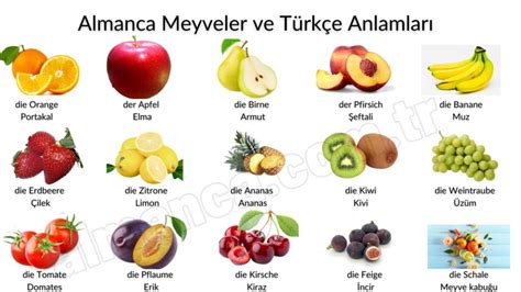 Almanca Meyveler Almanca A Dersleri