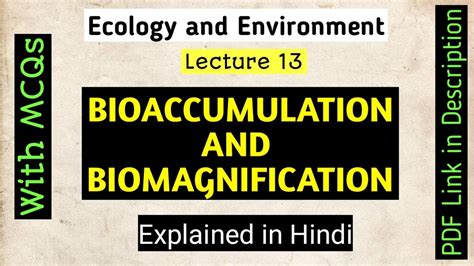 Biomagnification And Bioaccumulation Explained In Hindi Environment