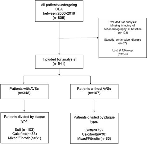 Aortic Valve Sclerosis Hot Sex Picture