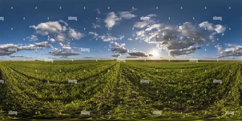 View Of Spherical Hdri Panorama Among Green Grass Farming