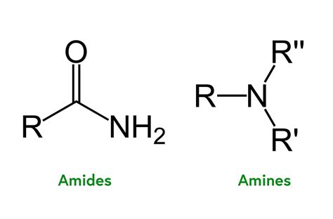 Amides Vs Amines Definitions Uses And Applications Explained