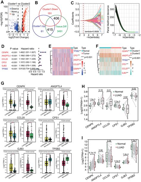 A Robust Six Gene Prognostic Signature Based On Two Prognostic Subtypes