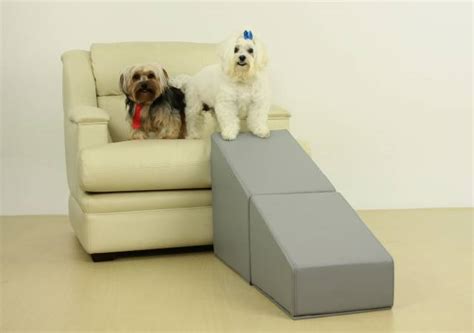 Rampa Para Cachorro Subir No Sof Modelos E Caracter Sticas