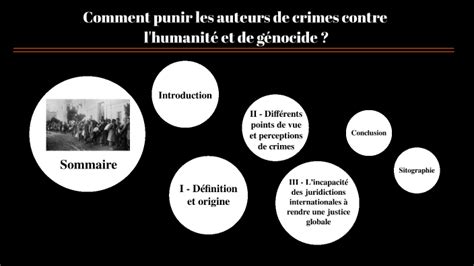 Comment Punir Les Auteurs De Crimes Contre Lhumanité Ou Génocides By