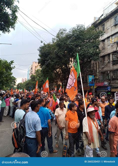 Bengal Bjp Protest People With Flags And Posters In The Street