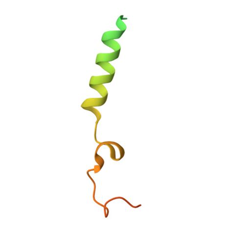 Rcsb Pdb 7xmr Cryoem Structure Of The Somatostatin Receptor 2 Sstr2