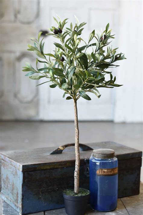 Potted Olive Tree | 32" - Lancaster Home & Holiday