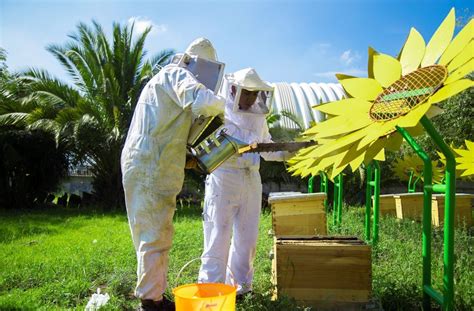 La Planta De Ford Cuautitl N Es La Casa De Abejas En