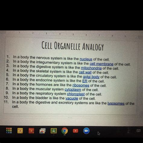 40 cell factory analogy worksheet - Worksheet Resource