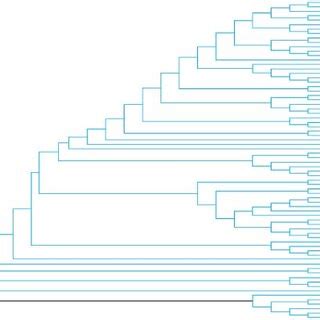 Phylogenetic Analysis Based On The S Protein Of Pedv Jsxz Strain And