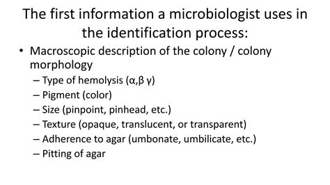 Solution Lab Semi Final 3 Methods For Bacterial Identification Studypool