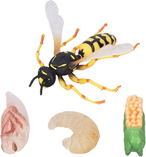 Agatige Figurines Insect Toy Wasp Bee Growth Cycle Model Early