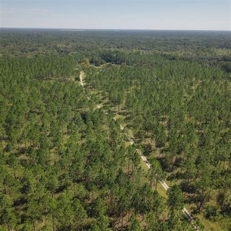 114± Acres Development Potential Lee Co Ga