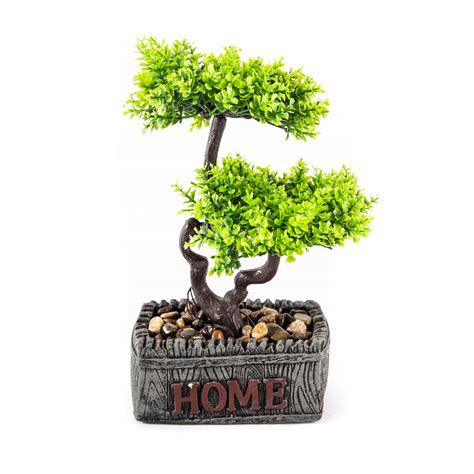 BONSAI DRZEWKO W DONICZCE OZDOBNA ROŚLINA 25CM D30190 Cena Opinie