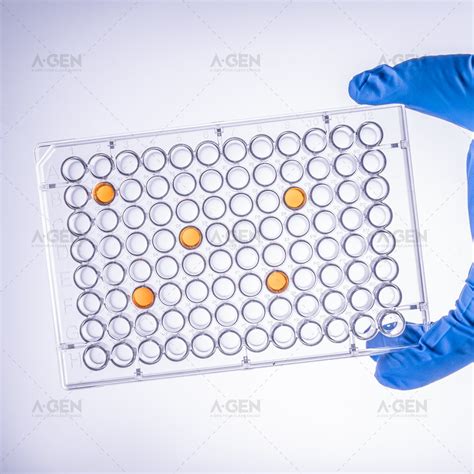 Clear Lid High Bind Lab Microplate Customized 8 Strips 96 Well PS