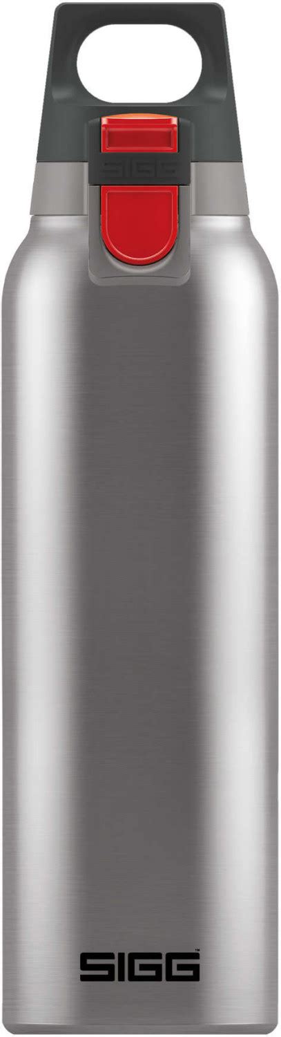 Sigg Hot Cold One L Brushed Ab Preisvergleich Bei Idealo De
