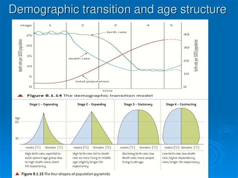 Demographic Transition Age Structure