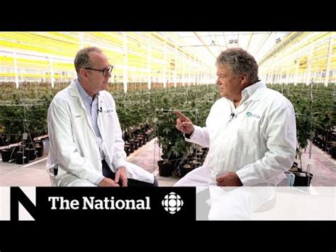 Canadian cannabis producer Aphria on what's next after legalization ...