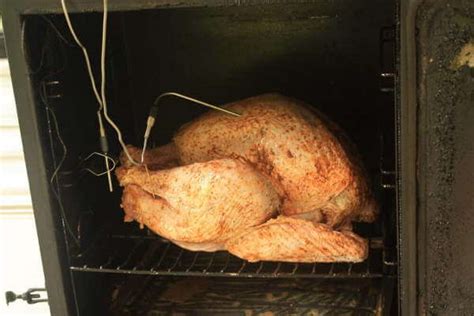 Smoking A Turkey Electric Smoker All You Need Infos