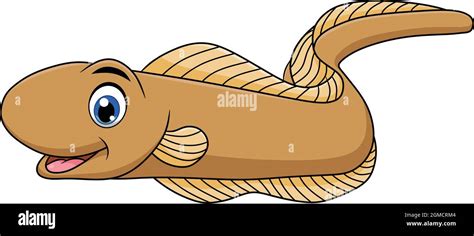 Electric Eel Aquarium Stock Vector Images Alamy