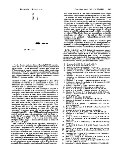 Expression And Fine Structure Of The Gene Encoding N Epsilon Indole 3