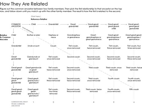 Cousin Chart—How To Calculate Family Relationships, 54% OFF