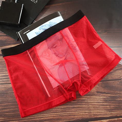 Sexy Men See Through Boxer Briefs Sheer Mesh Pouch Underwear Panties