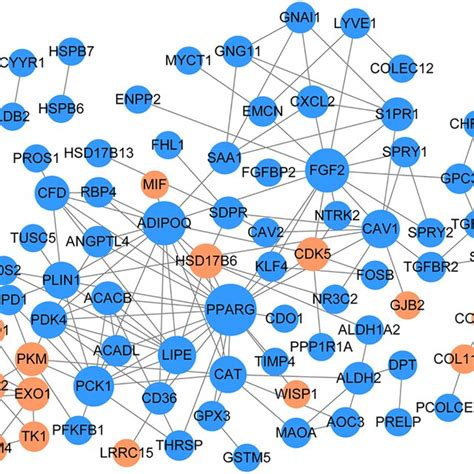 Proteinprotein Interaction Network Of Common Differentially Expressed