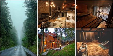 Conoce Forest House La Cabaña Tipo Boutique En Medio Del Bosque Mira