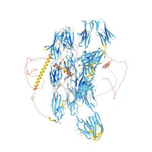 DSCAM Gene GeneCards DSCAM Protein DSCAM Antibody