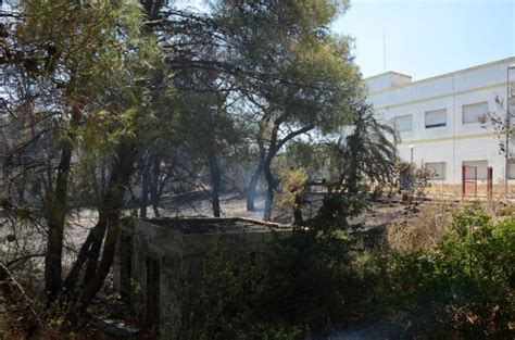 Fiamme Nei Boschi Di Castellaneta Case Evacuate Bloccati I Treni La