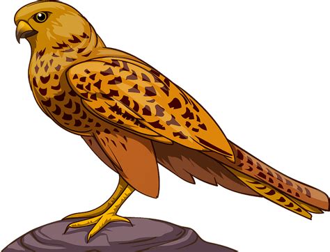 flying falcon clip art