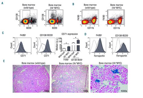 Flow Cytometry Analysis Of Iron Transporters In Non Erythroid Cells Download Scientific