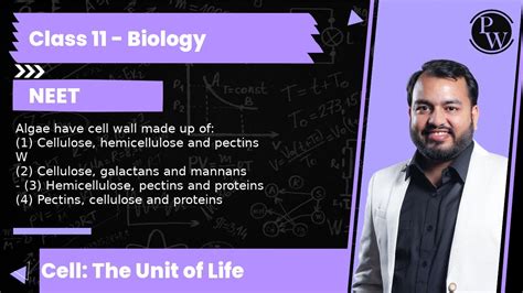 Algae Have Cell Wall Made Up Of 1 Cellulose Hemicellulose And