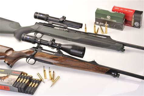 Sauer 202 E 303 Carbines Go Hunting With Style All4shooters