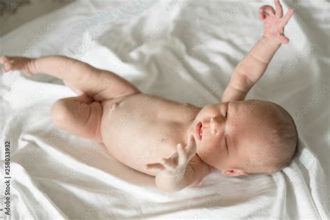 Newborn Naked Baby Girl On White Background Stock Photo Adobe Stock