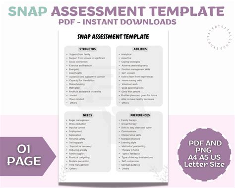 Snap Assessment Strengths Needs Abilities Preferences Assessment