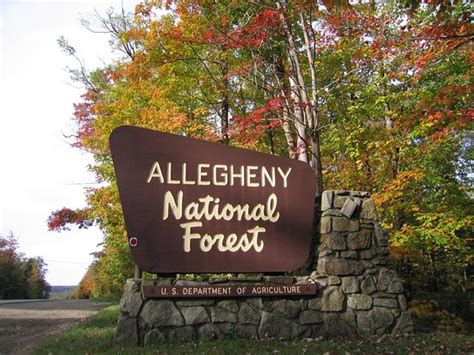 Allegheny National Forest Visitors Bureau Bradford Pa Top Tips