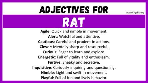 20+ Best Words to Describe Rat, Adjectives for Rat - EngDic