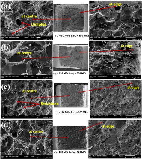 Secondary Electron Fractographs Se Of Ratchet Tested Samples With A