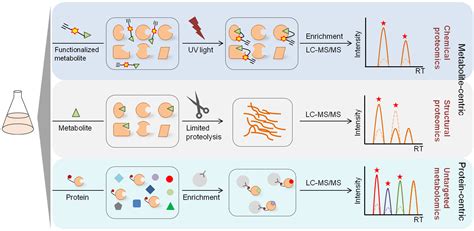 Iterative Affinity Ms Approach Accelerates Gpcr Ligand Screening