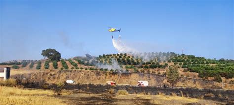 Los Incendios Forestales Disminuyen Un En Andaluc A Pero Se