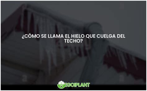 Hielo Colgante Del Techo Todo Lo Que Debes Saber Egoiplant