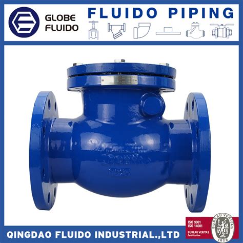 Ductile Cast Iron Din Flanged Swing Check Non Return Valve China