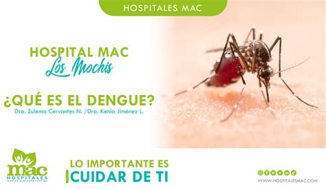 QUE ES EL DENGUE