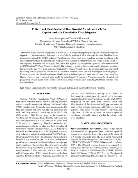 Pdf Culture And Identification Of Goat Synovial Membrane Cells For